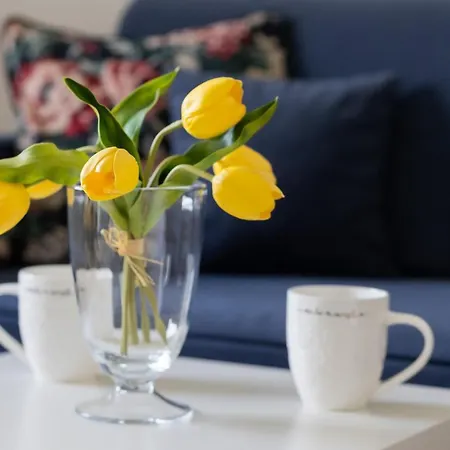 شقة Comfy Powstancow Slaskich By Renters